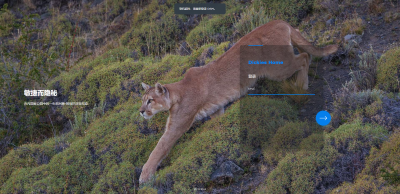 NAS探索之旅 篇一：20250402更新 自动更换群晖登录页及桌面背景图